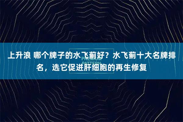 上升浪 哪个牌子的水飞蓟好？水飞蓟十大名牌排名，选它促进肝细胞的再生修复