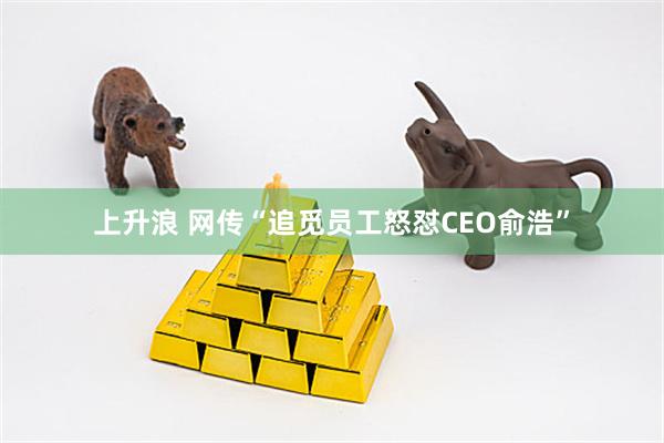 上升浪 网传“追觅员工怒怼CEO俞浩”