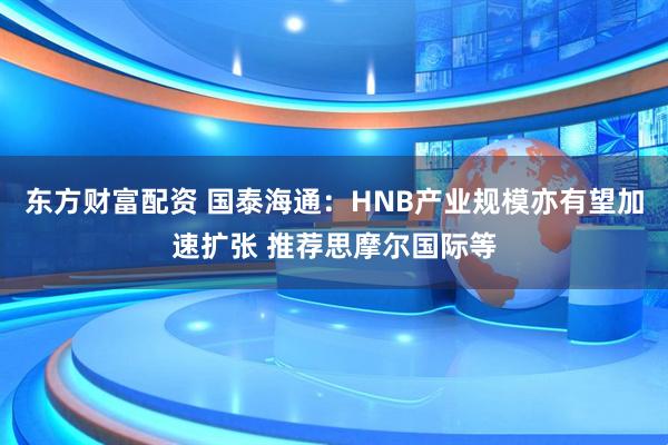 东方财富配资 国泰海通：HNB产业规模亦有望加速扩张 推荐思摩尔国际等