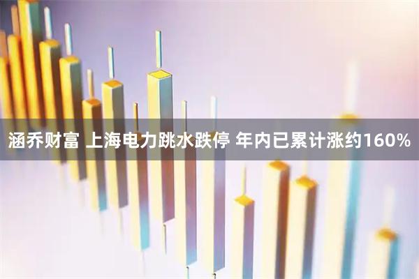 涵乔财富 上海电力跳水跌停 年内已累计涨约160%
